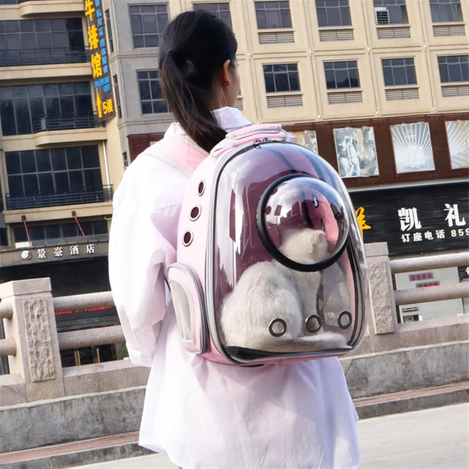 Astronaut Window Bubble Carrying Travel Bag Breathable Space Capsule Transparent Pet Carrier Bag Dog Cat Backpack(Glare Gray)