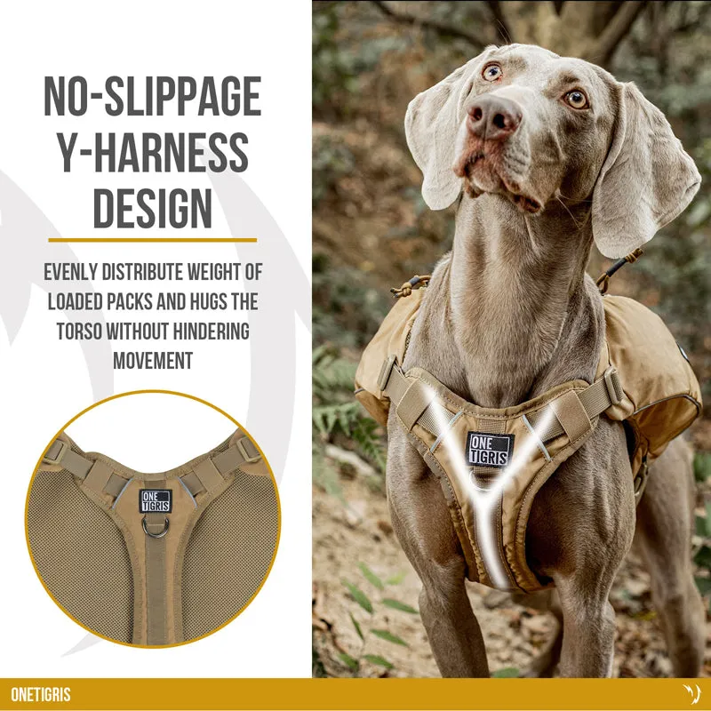 CAMELUS Dog Pack