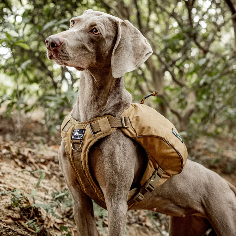 CAMELUS Dog Pack
