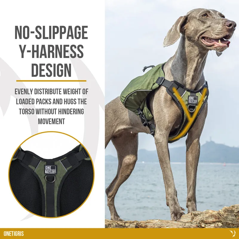 CAMELUS Dog Pack