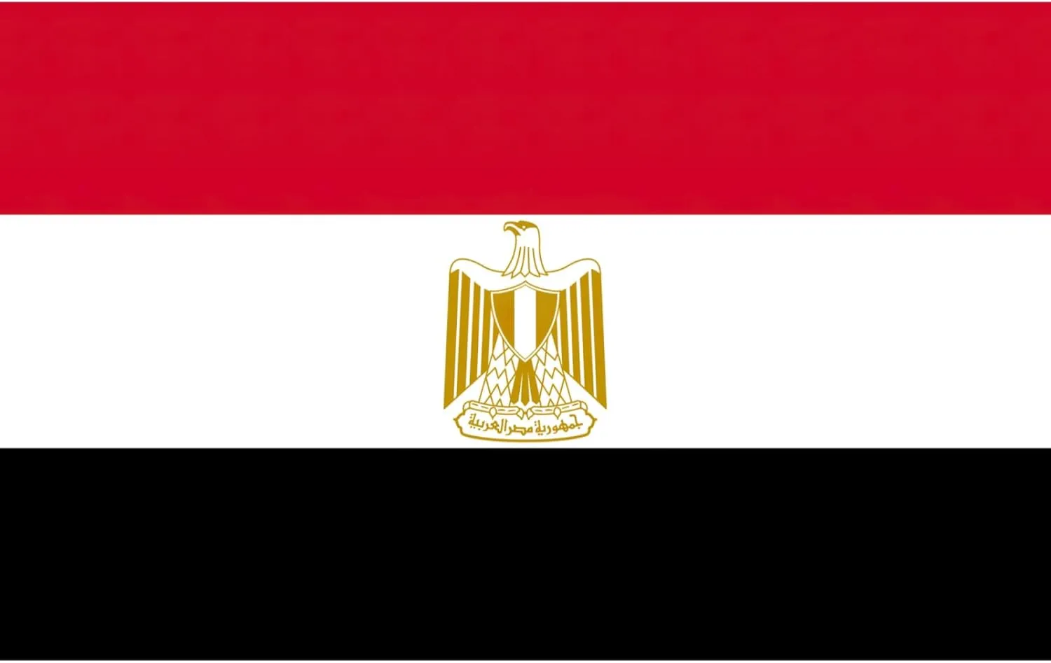 Egyptian flag print Backpack Travel Backpacks for Women Men College Backpack Computer Bag for Travel