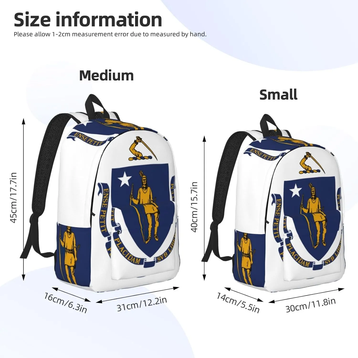 Massachusetts State Flag print Backpack Travel Backpacks for Women Men College Backpack Computer Bag for Travel